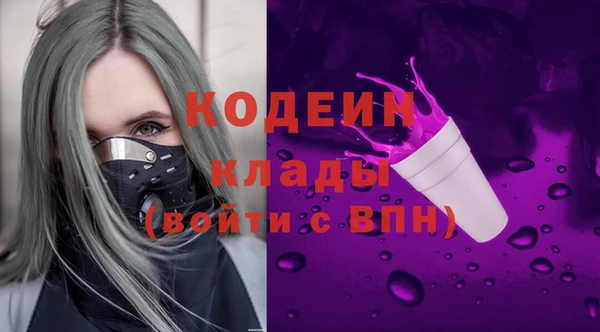 прущий лед Алзамай