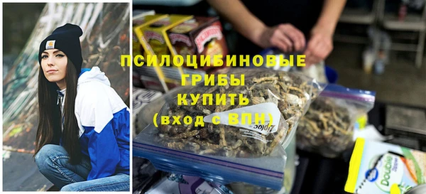 ГАЛЛЮЦИНОГЕННЫЕ ГРИБЫ Алексин