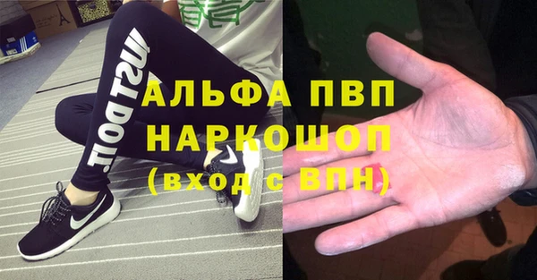прущий лед Алзамай
