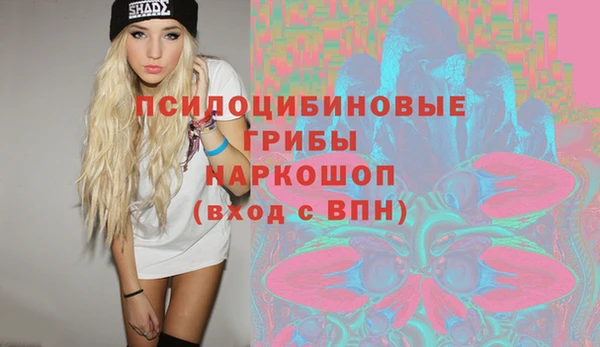 ГАЛЛЮЦИНОГЕННЫЕ ГРИБЫ Алексин