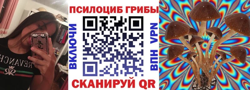 Галлюциногенные грибы мицелий купить наркотик Покров